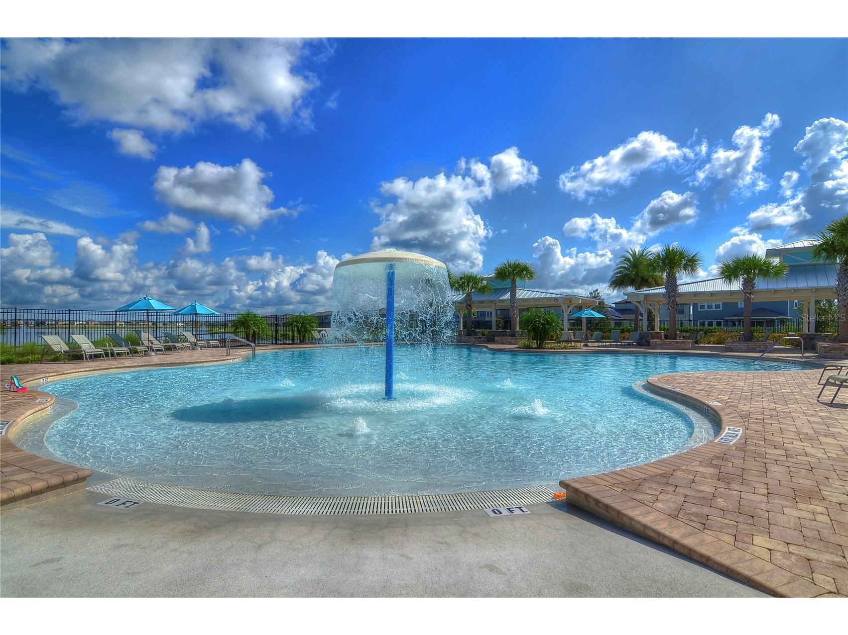 1621 Leaf Flower Lane Lutz FL 33558 TB8530238 image70