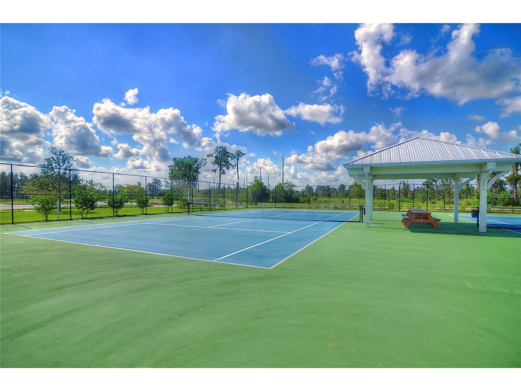 1621 Leaf Flower Lane Lutz FL 33558 TB8530238 image71