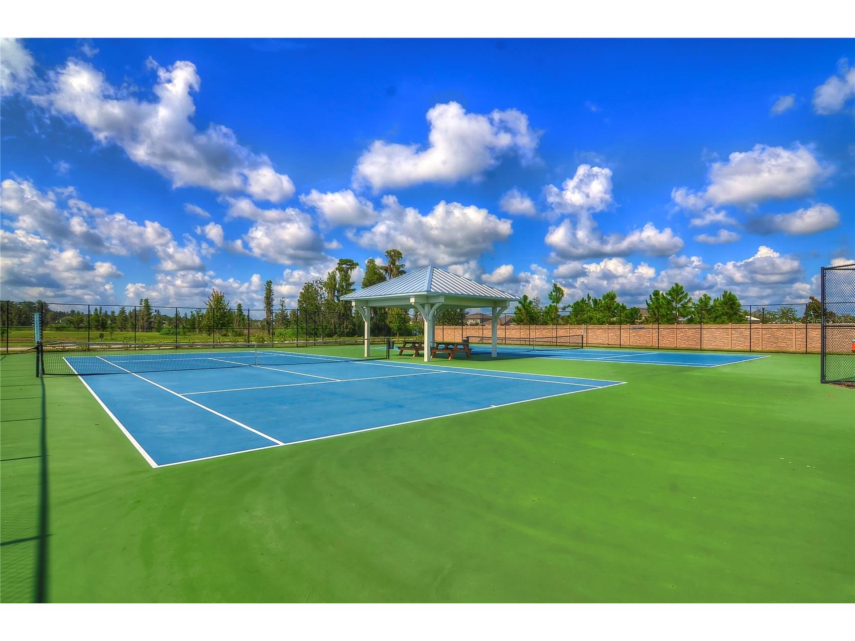 1621 Leaf Flower Lane Lutz FL 33558 TB8530238 image72