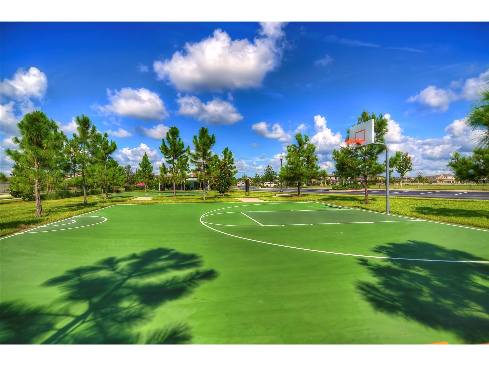 1621 Leaf Flower Lane Lutz FL 33558 TB8530238 image73