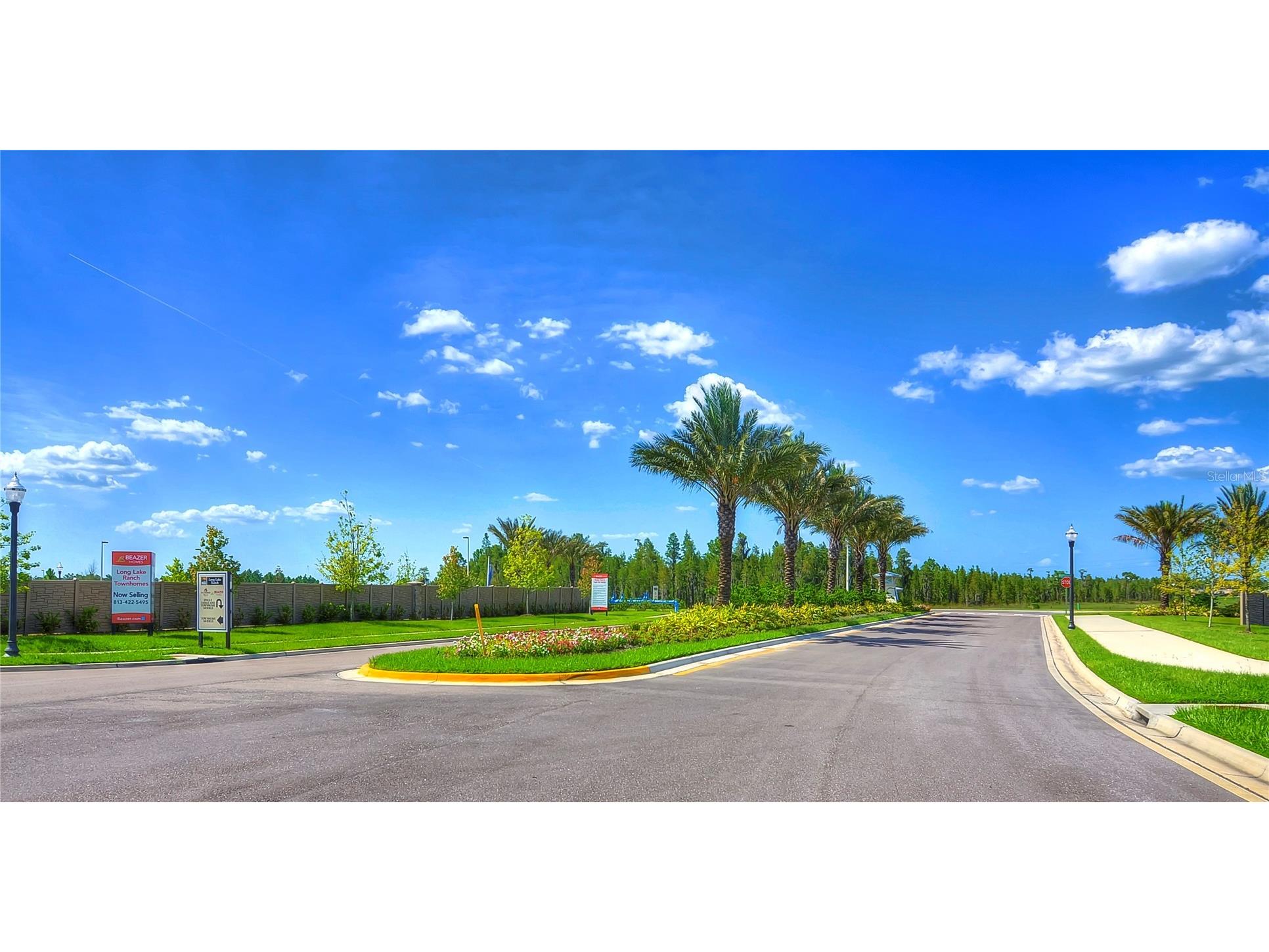 1621 Leaf Flower Lane Lutz FL 33558 TB8530238 image77