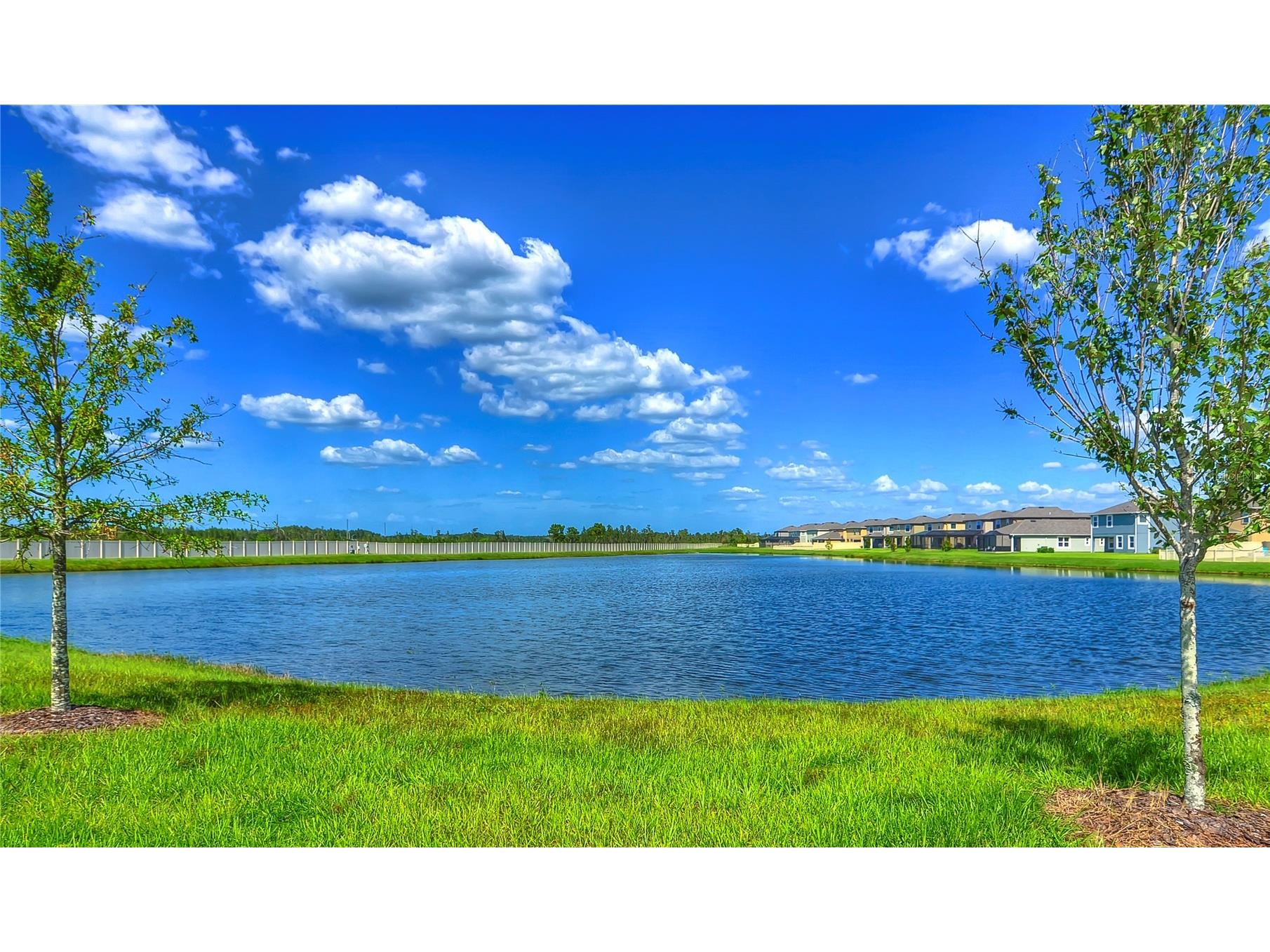 1621 Leaf Flower Lane Lutz FL 33558 TB8530238 image78