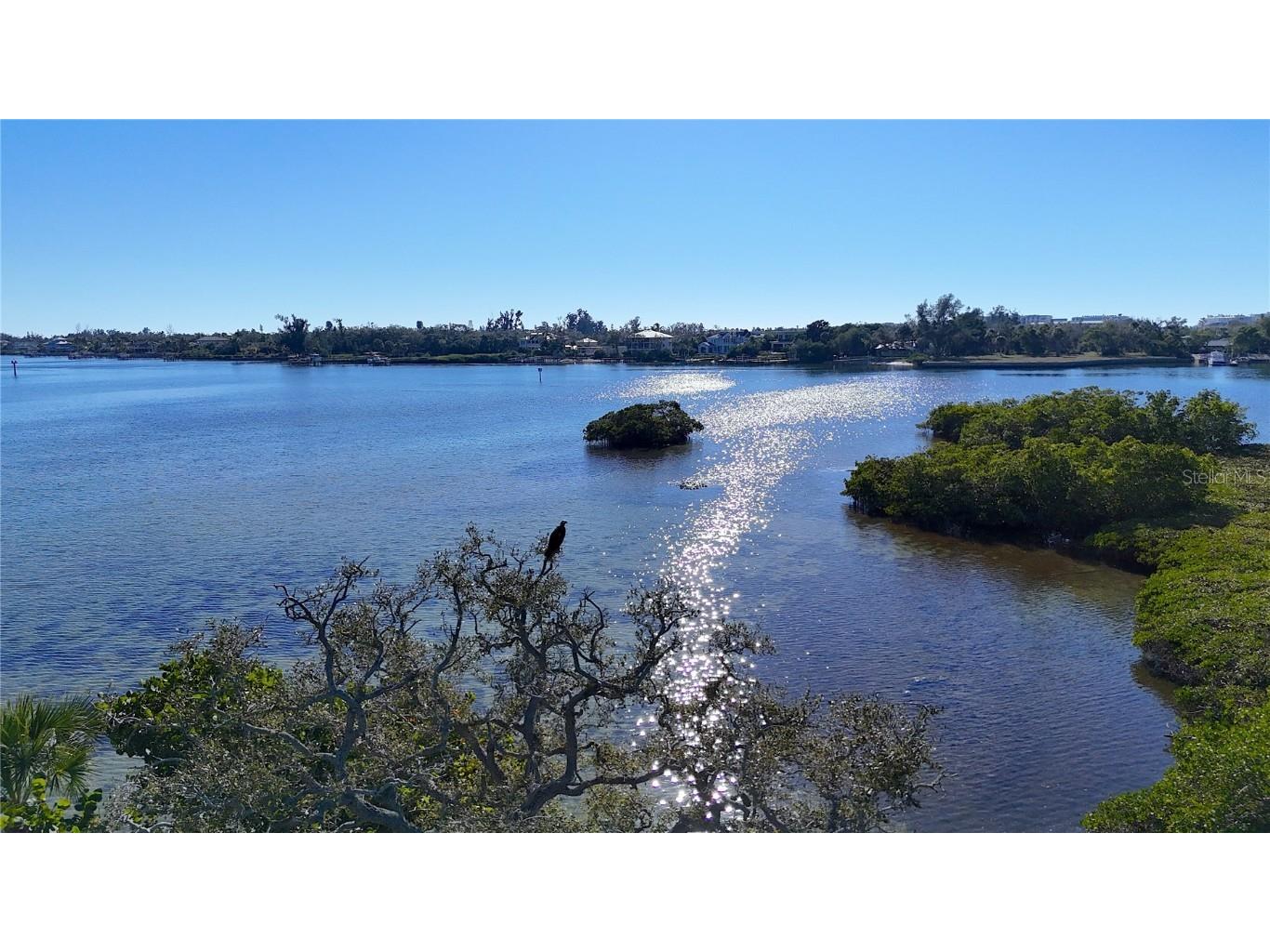 1621 Memory Lane Sarasota FL 34231 - LITTLE SARASOTA BAY A4677058 image7