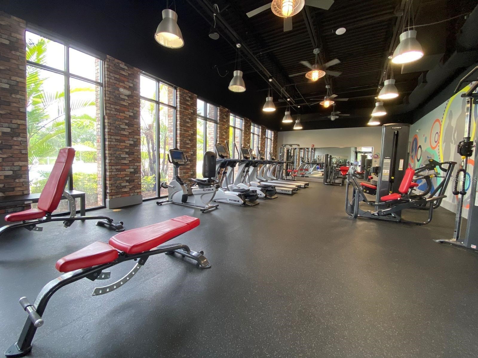 1621 Pelican Drive Davenport FL 33896 O6408678 image32