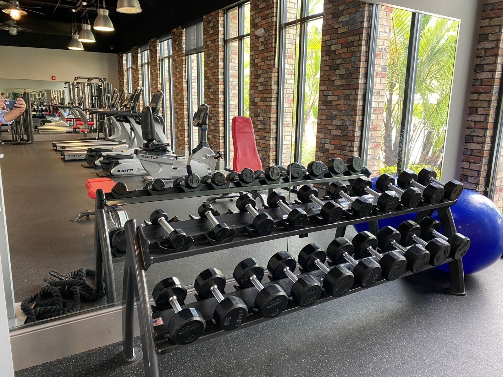 1621 Pelican Drive Davenport FL 33896 O6408678 image33