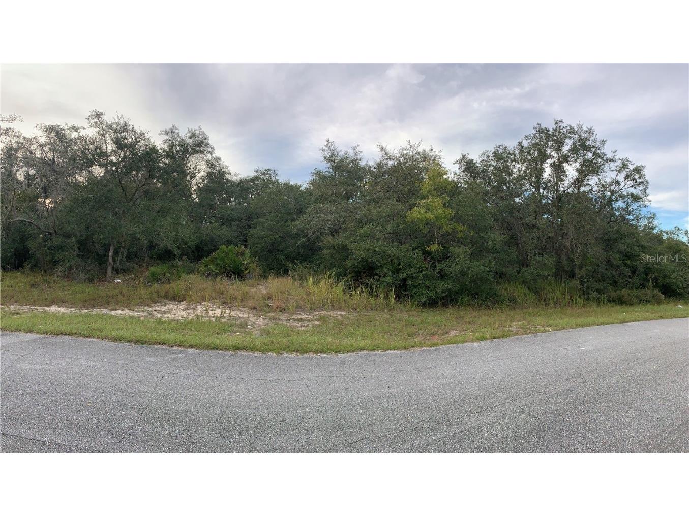 1621 Pickerel Court Poinciana FL 34759 O5984504 image1