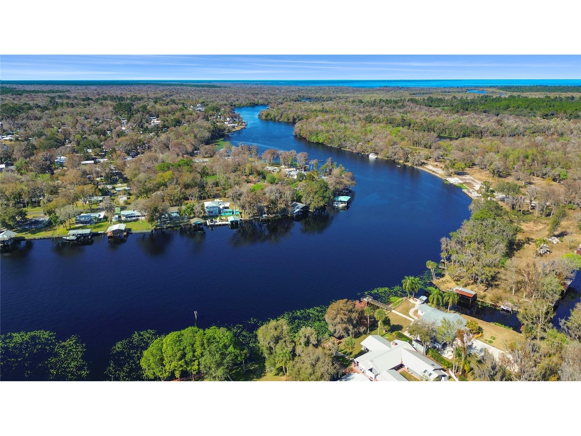 1621 Spring Garden Drive Astor FL 32102 - ST JOHNS RIVER OM718329 image4