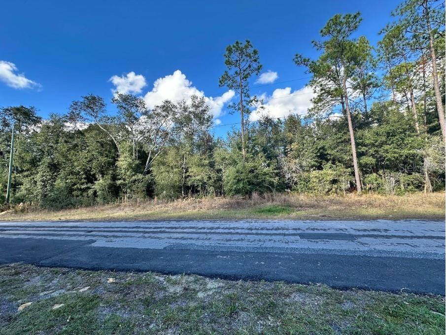 1621 W Alexander Drive Citrus Springs FL 34434 OM692707 image1