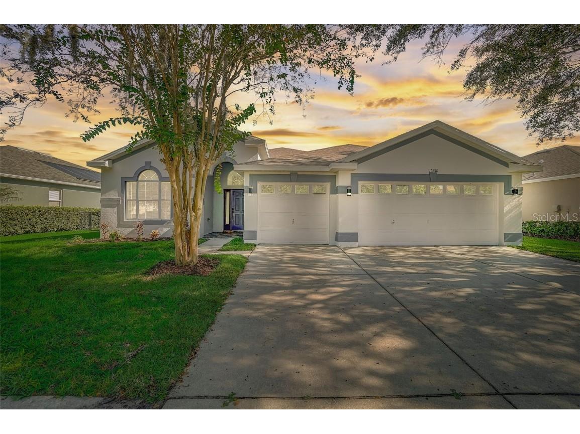 16210 Bridgepark Drive Lithia FL 33547 T3480851 image1