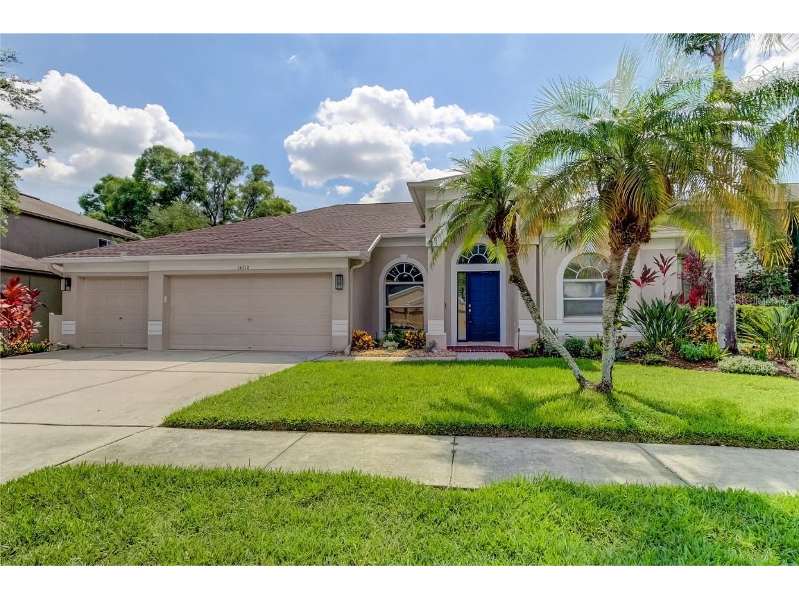 16210 Muirfield Drive Odessa FL 33556 T3536612 image1