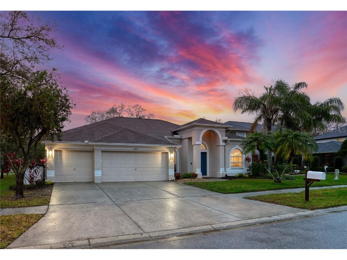 16210 Muirfield Drive Odessa FL 33556 U8230388 image1