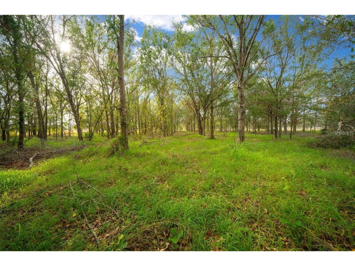 16211 Alderman Turner Road Wimauma FL 33598 TB8327275 image1