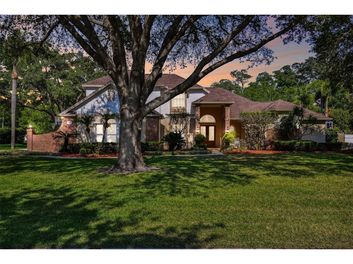 16211 Sentry Woods Court Odessa FL 33556 T3445808 image1