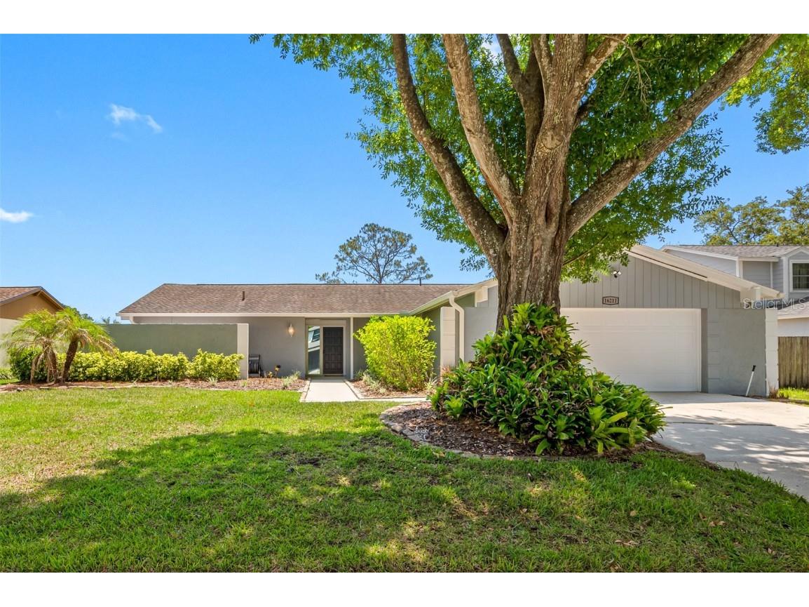 16211 W Course Drive Tampa FL 33624 T3446978 image1