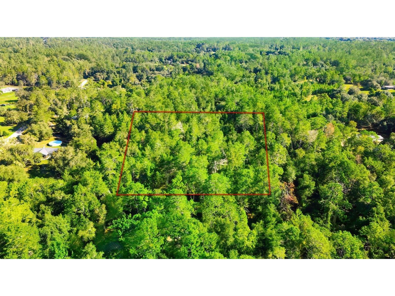 16212 Pawnee Drive Brooksville FL 34601 T3402601 image1