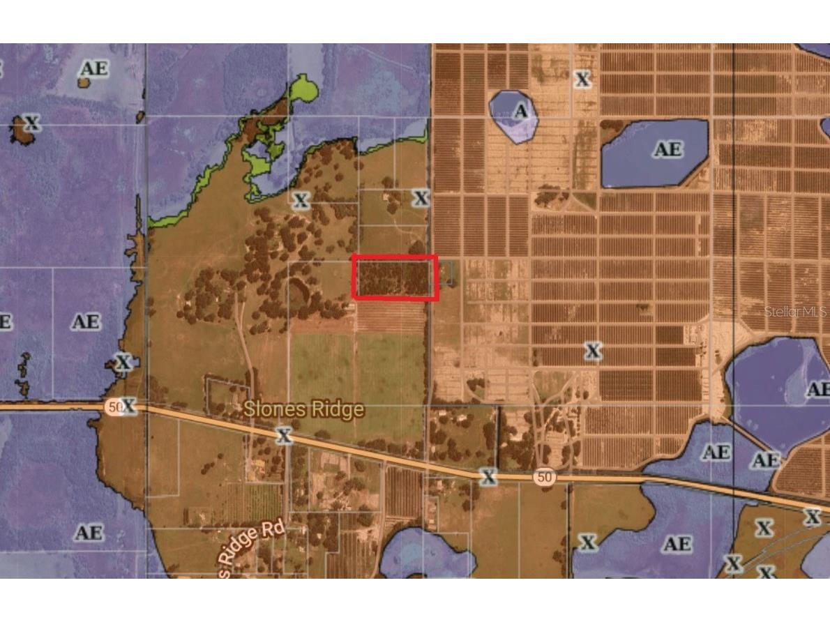 16213 Clarence Lee Road Groveland FL 34736 W7871753 image1