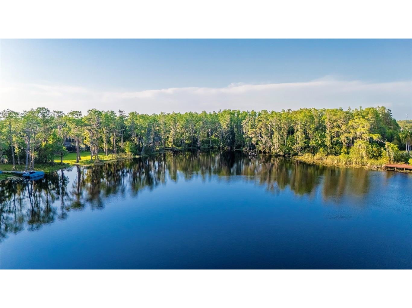 16213 Dew Drop Lane Tampa FL 33625 - LITTLE HALF MOON LAKE TB8374106 image10