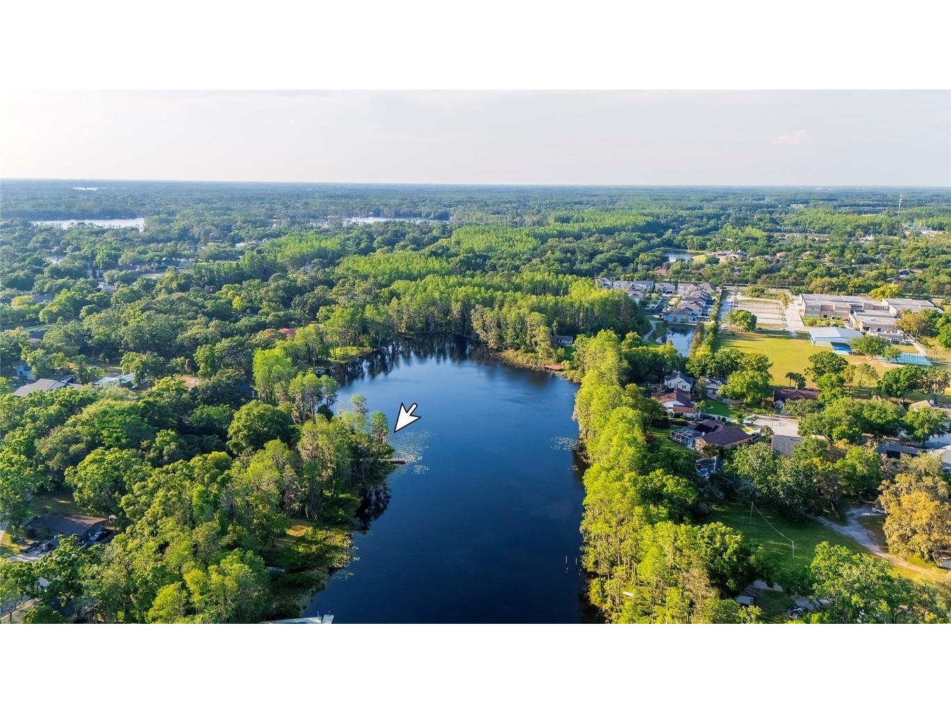 16213 Dew Drop Lane Tampa FL 33625 - LITTLE HALF MOON LAKE TB8374106 image11