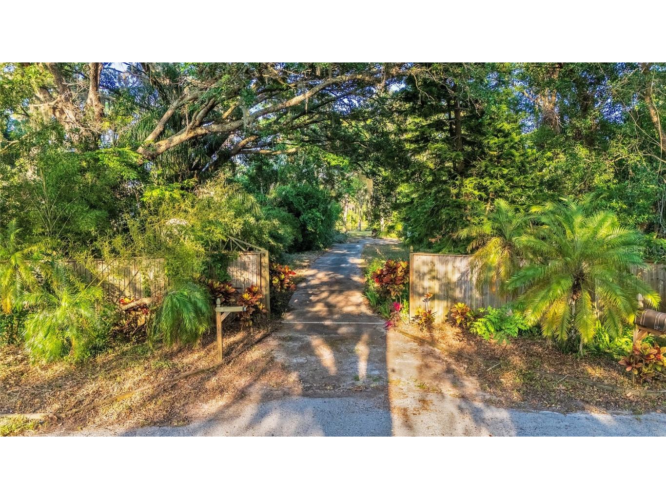 16213 Dew Drop Lane Tampa FL 33625 - LITTLE HALF MOON LAKE TB8374106 image3