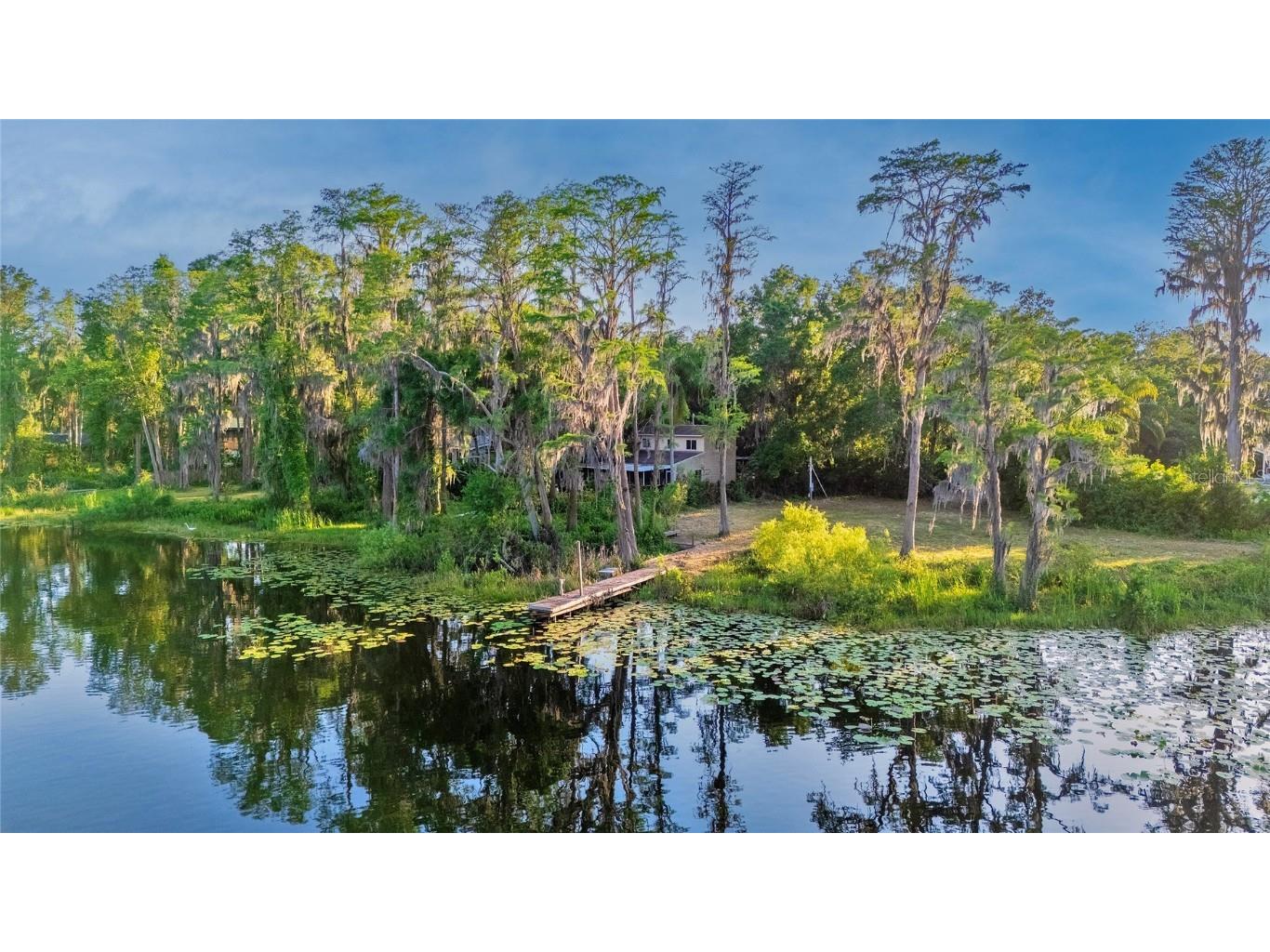 16213 Dew Drop Lane Tampa FL 33625 - LITTLE HALF MOON LAKE TB8374106 image4