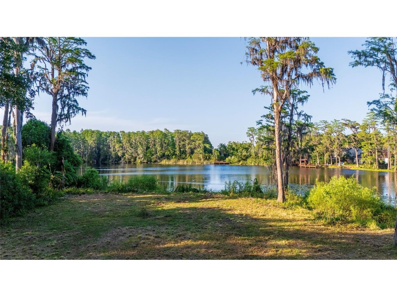 16213 Dew Drop Lane Tampa FL 33625 - LITTLE HALF MOON LAKE TB8374106 image5