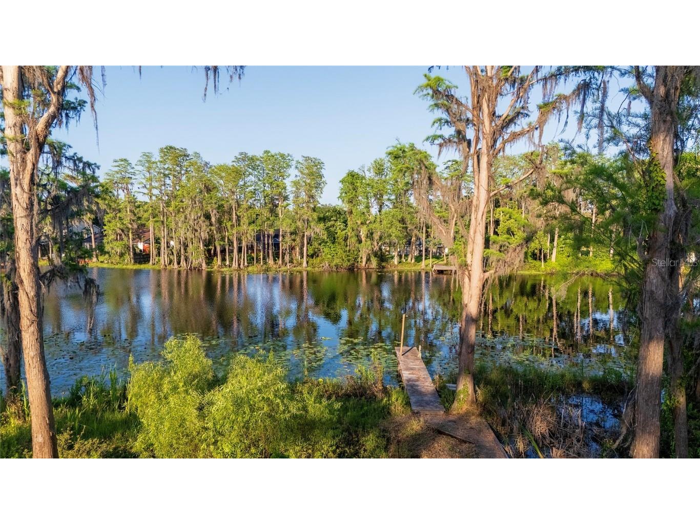 16213 Dew Drop Lane Tampa FL 33625 - LITTLE HALF MOON LAKE TB8374106 image7