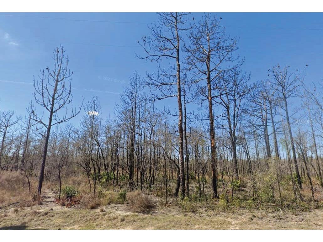 16213 Penn State Road Weeki Wachee FL 34614 O6268905 image1