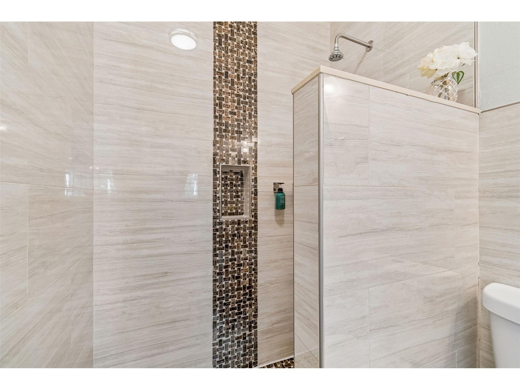 16214 Bayberry View Drive Lithia FL 33547 TB8510298 image23