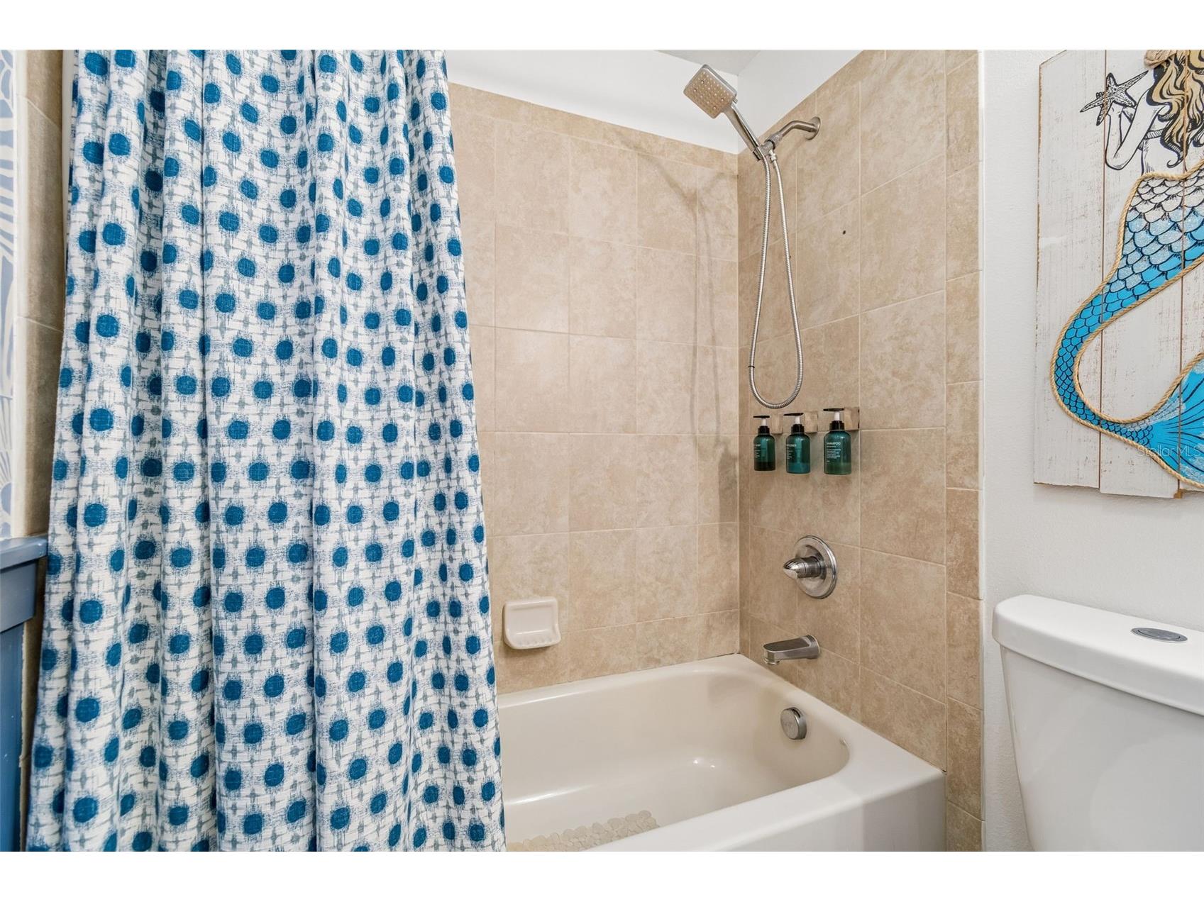 16214 Bayberry View Drive Lithia FL 33547 TB8510298 image48