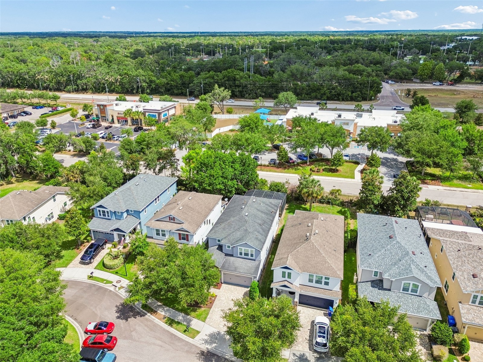 16214 Bayberry View Drive Lithia FL 33547 TB8510298 image67
