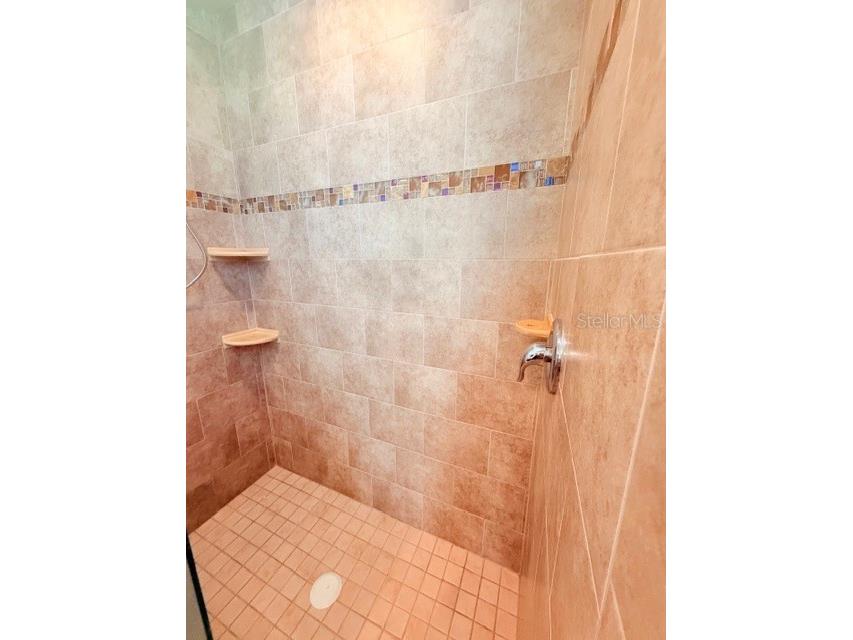 16214 Mulholland Road Parrish FL 34219 A4683641 image40