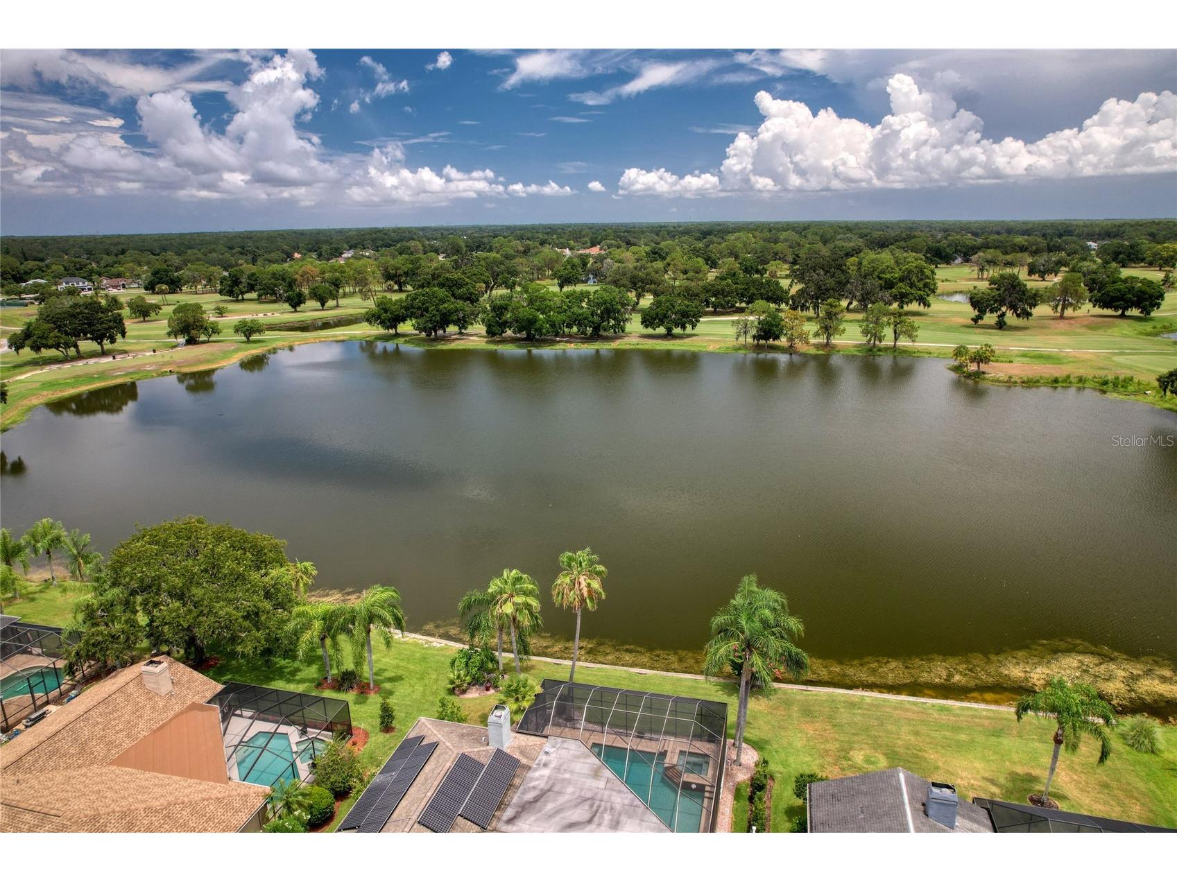 16215 Hoylake Drive Odessa FL 33556 TB8505745 image34