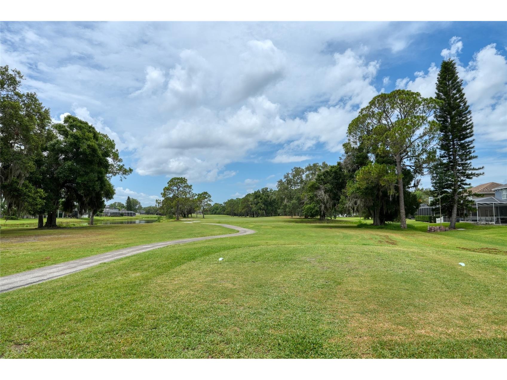 16215 Hoylake Drive Odessa FL 33556 TB8505745 image8