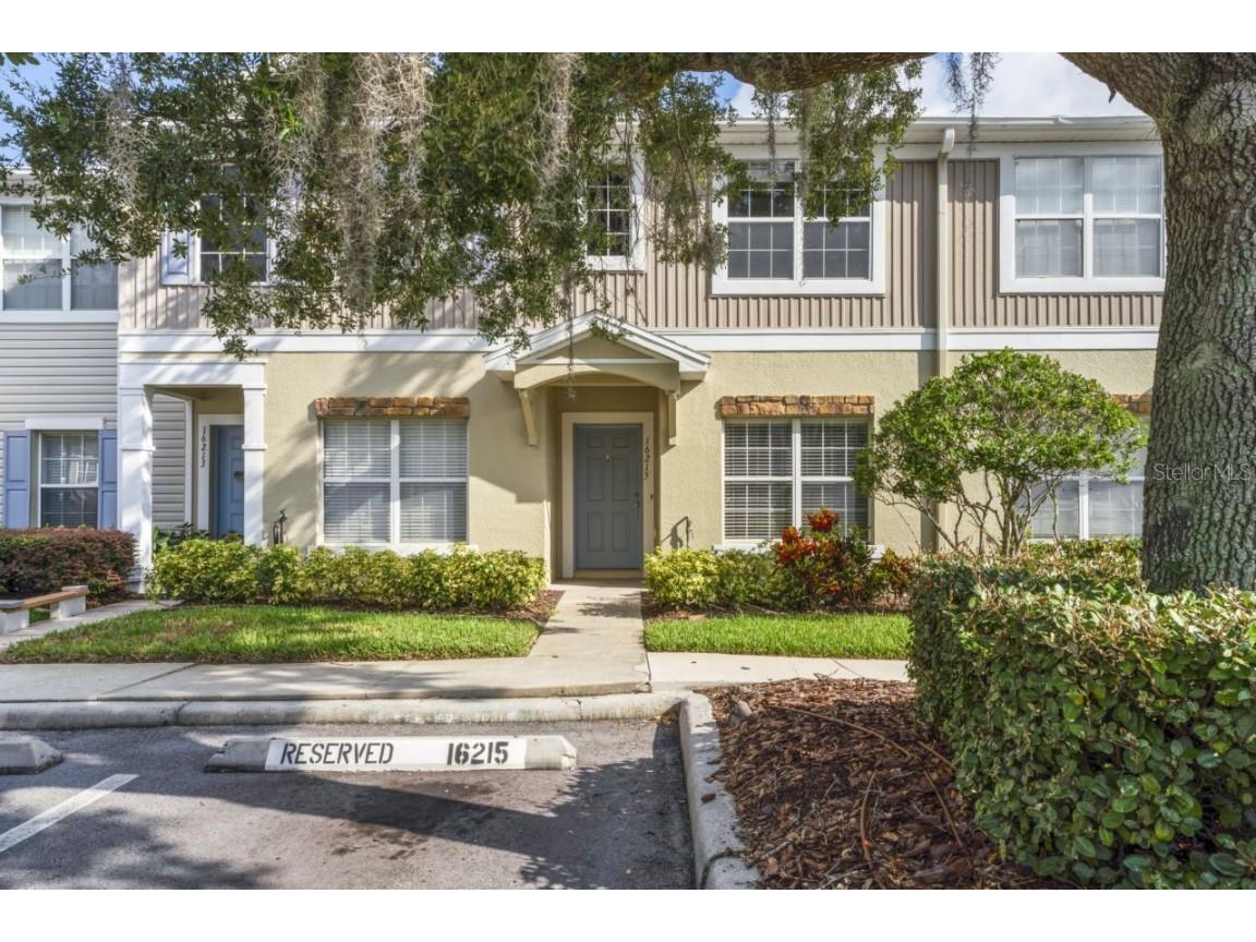 16215 Swan View Circle Odessa FL 33556 T3464422 image1