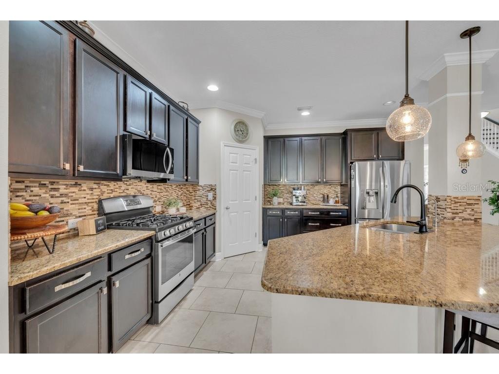 16216 Bayberry View Dr Lithia FL 33547 TB8515414 image10