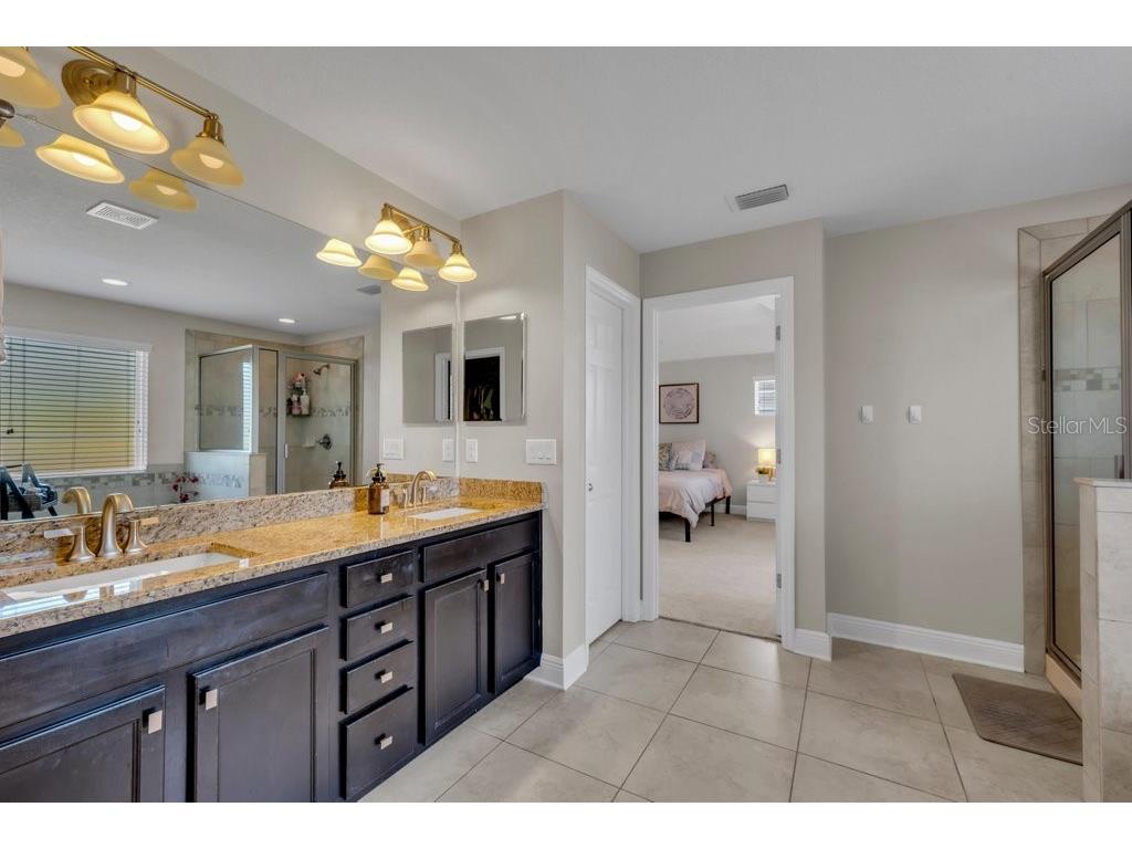 16216 Bayberry View Dr Lithia FL 33547 TB8515414 image21