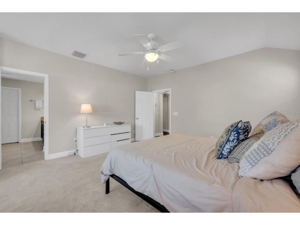 16216 Bayberry View Dr Lithia FL 33547 TB8515414 image27