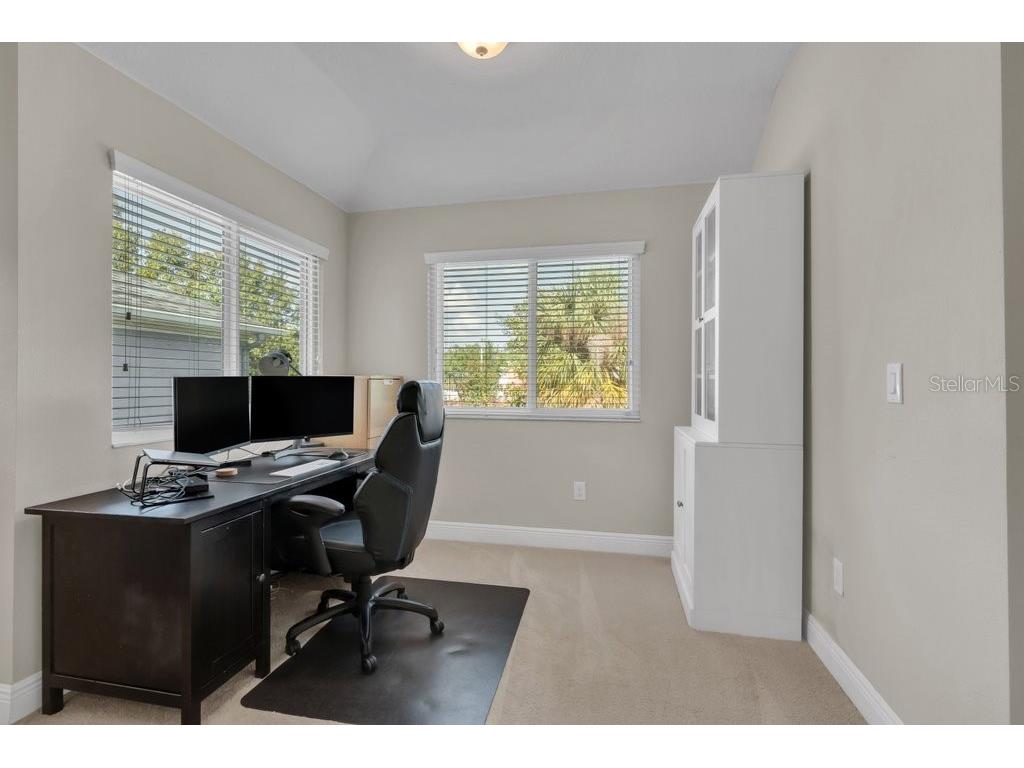 16216 Bayberry View Dr Lithia FL 33547 TB8515414 image28