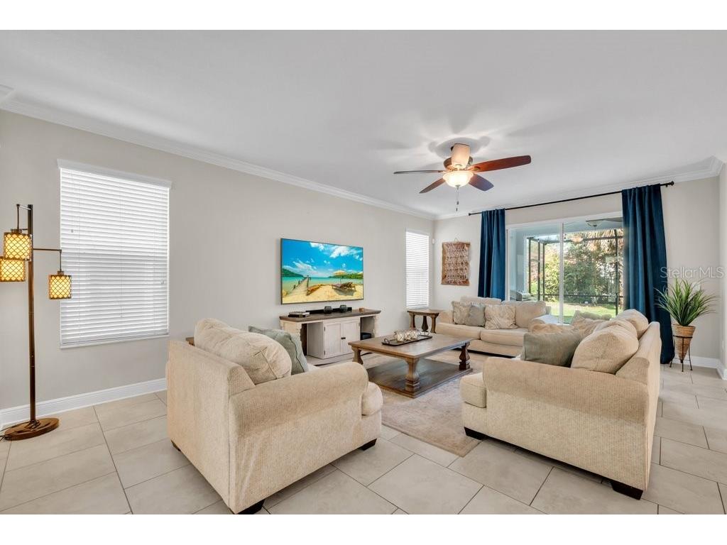 16216 Bayberry View Dr Lithia FL 33547 TB8515414 image8
