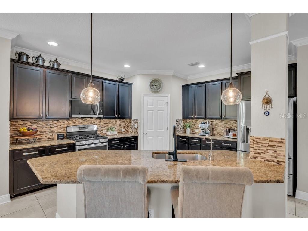 16216 Bayberry View Dr Lithia FL 33547 TB8515414 image9
