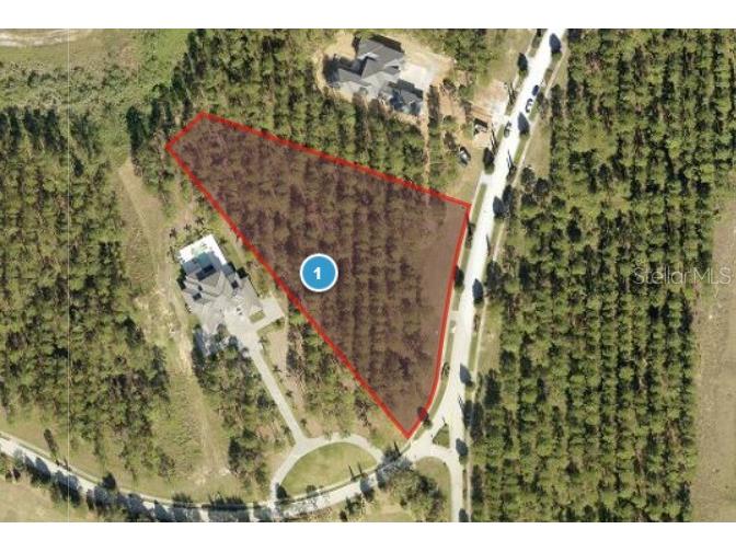 16216 Pendio Drive Montverde FL 34756 - LAKE SIENA G5103234 image1