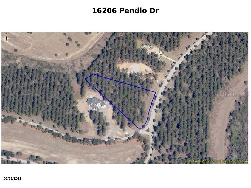 16216 Pendio Drive Montverde FL 34756 - LAKE SIENNA O6158752 image1