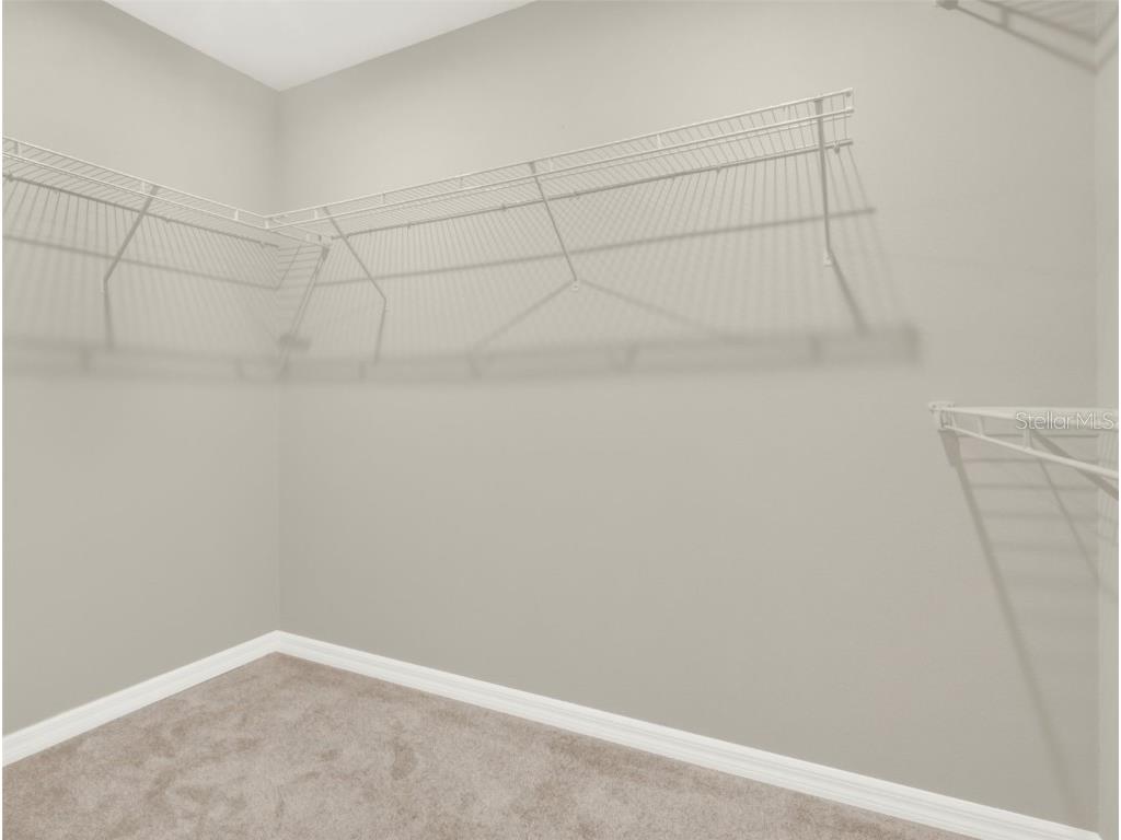 16217 Prairie School Drive Winter Garden FL 34787 O6298248 image24