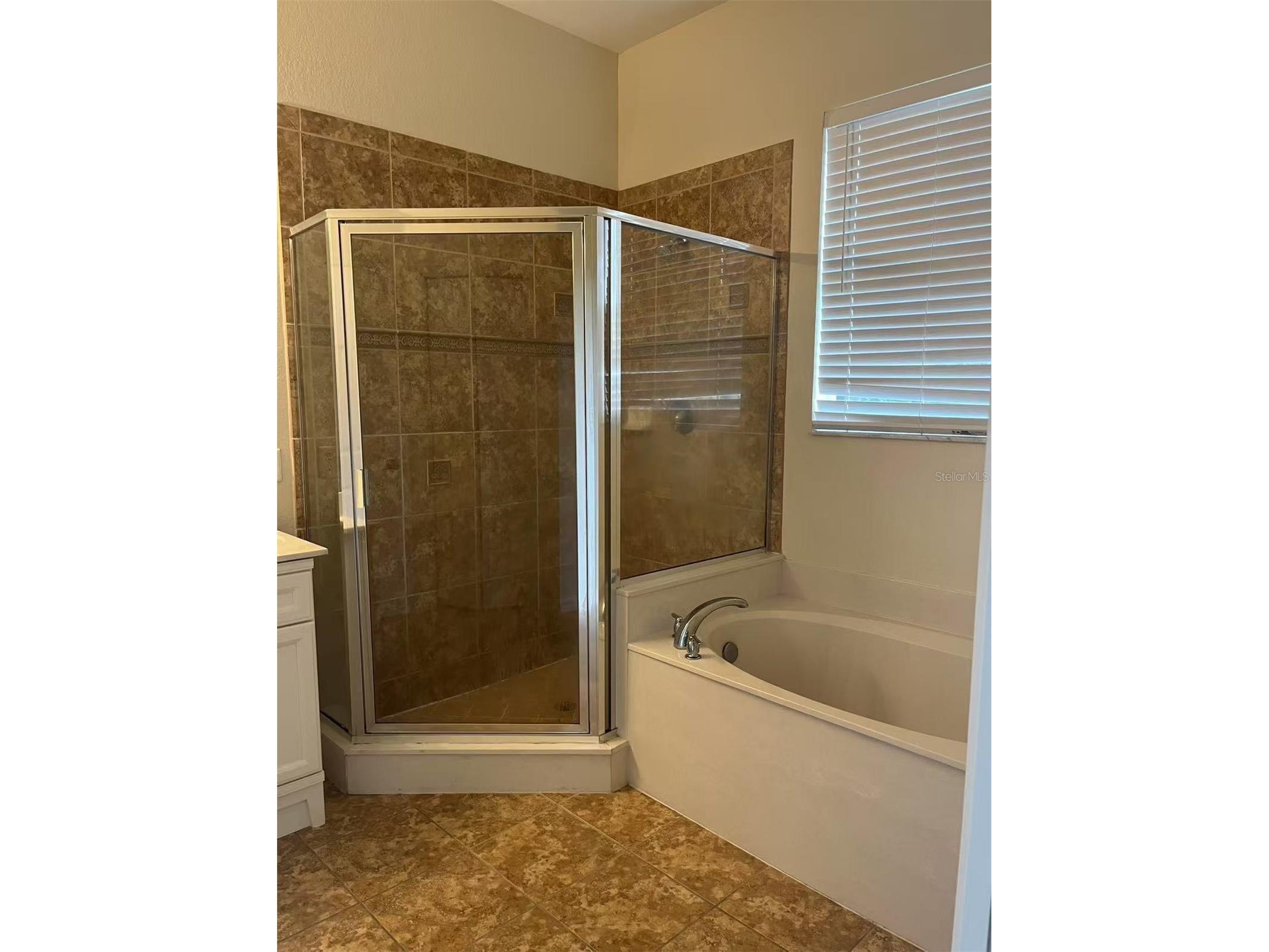 16217 Via Solera Circle #101 Fort Myers FL 33908 TB8462561 image18