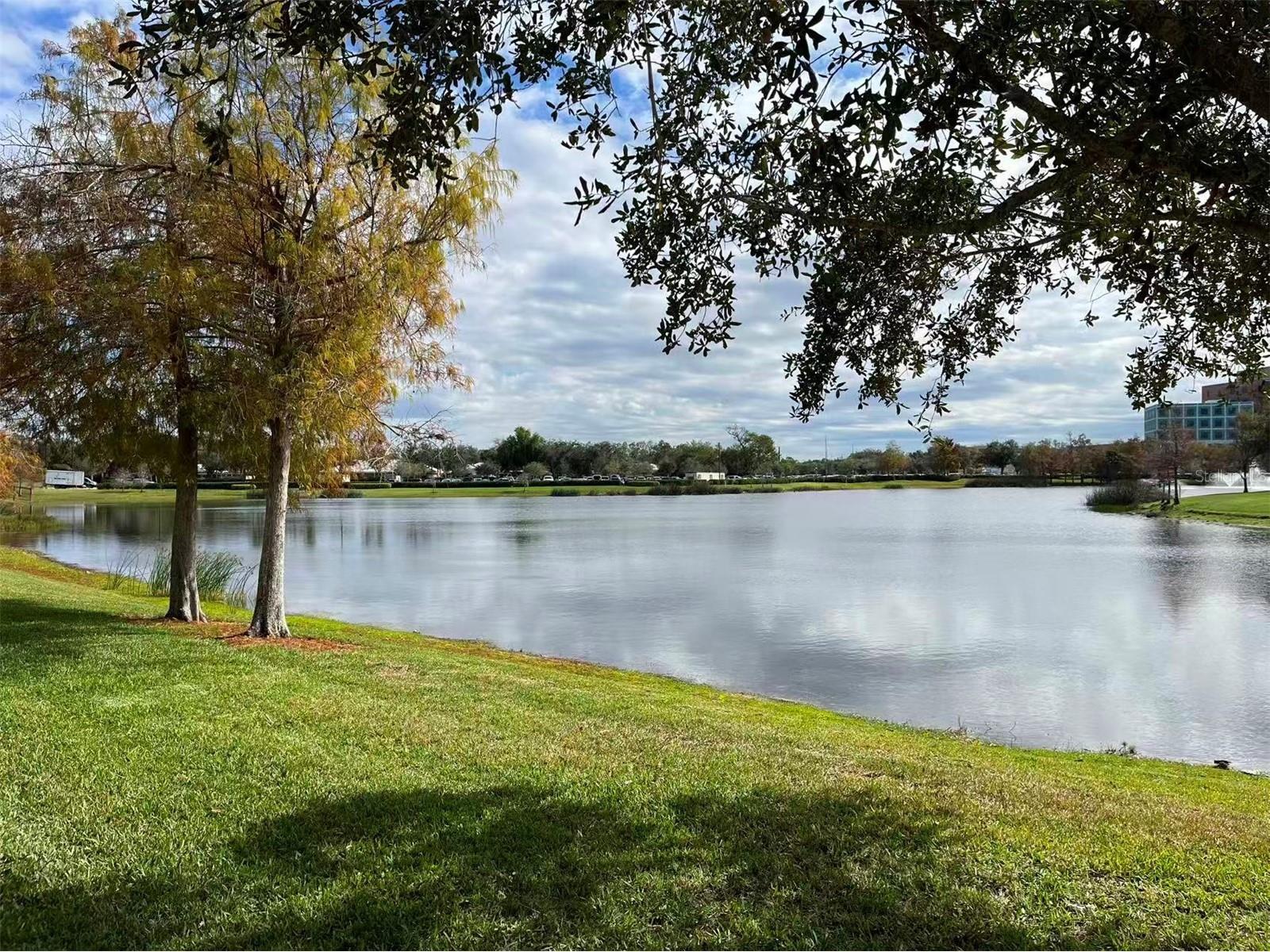 16217 Via Solera Circle #101 Fort Myers FL 33908 TB8462561 image28