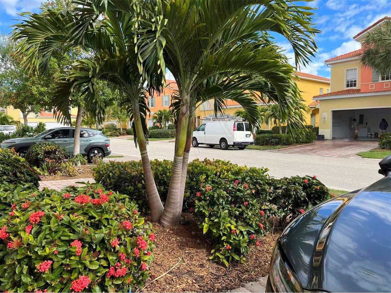 16217 Via Solera Circle #101 Fort Myers FL 33908 TB8462561 image3