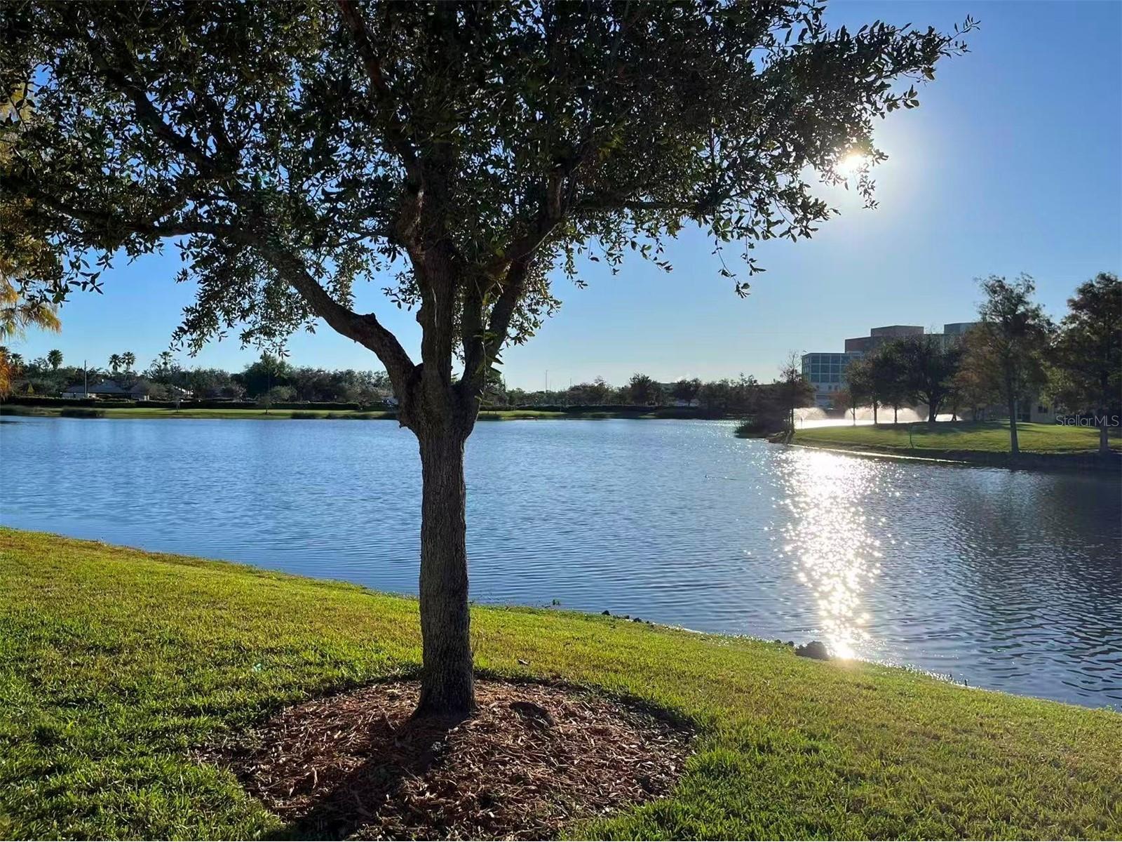 16217 Via Solera Circle #101 Fort Myers FL 33908 TB8462561 image35