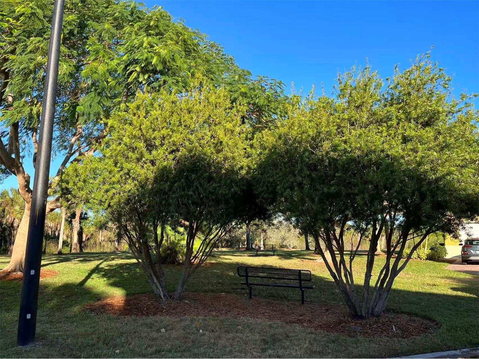 16217 Via Solera Circle #101 Fort Myers FL 33908 TB8462561 image40