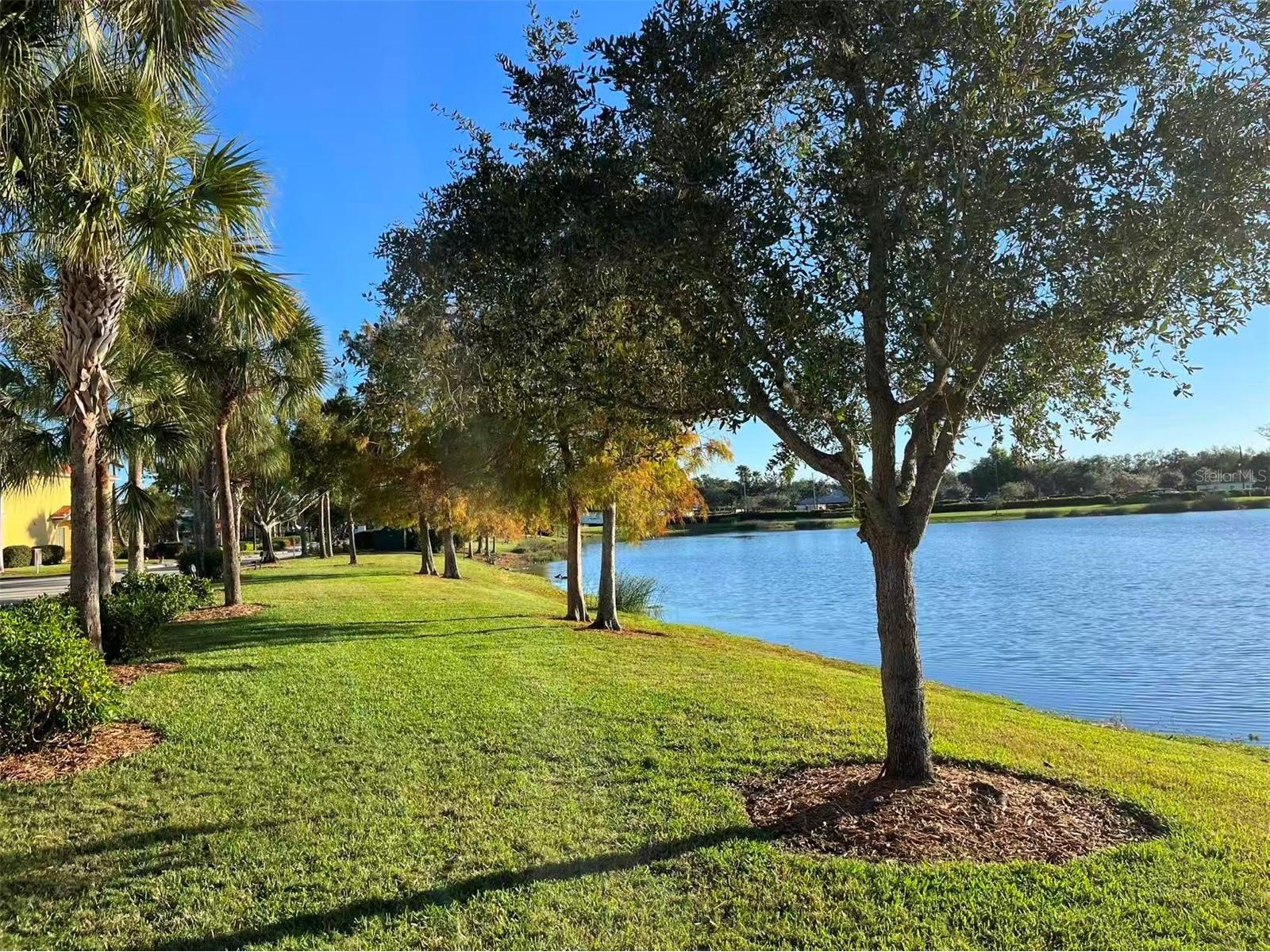 16217 Via Solera Circle #101 Fort Myers FL 33908 TB8462561 image41