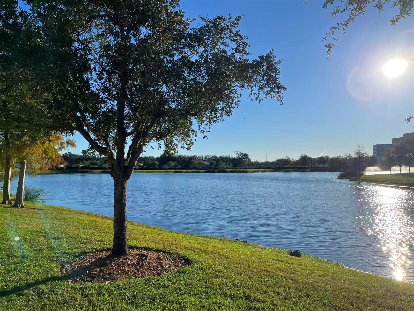 16217 Via Solera Circle #101 Fort Myers FL 33908 TB8462561 image42